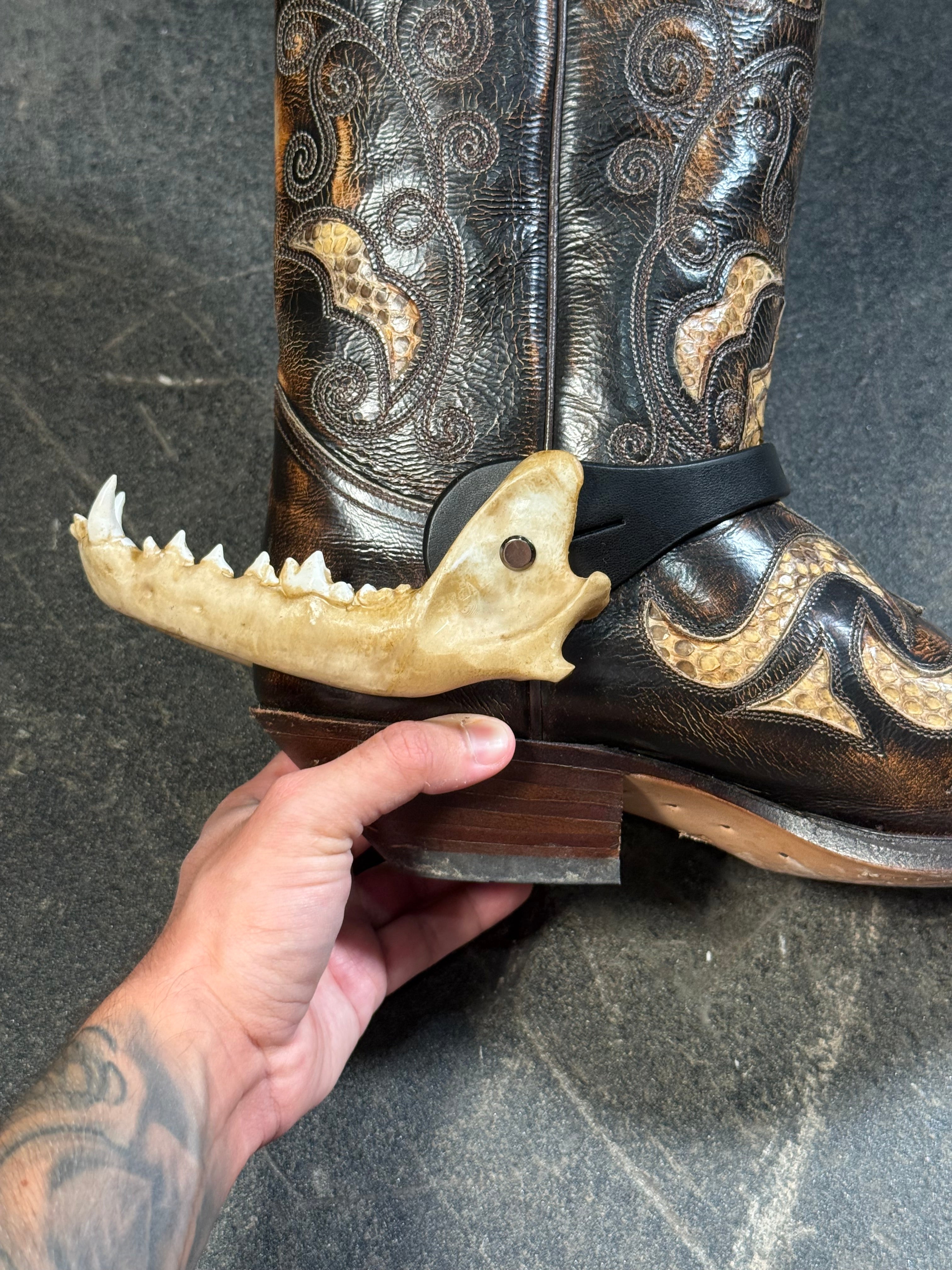 handmade coyote jaw spur straps set | kojoten kiefer stiefelriemen set