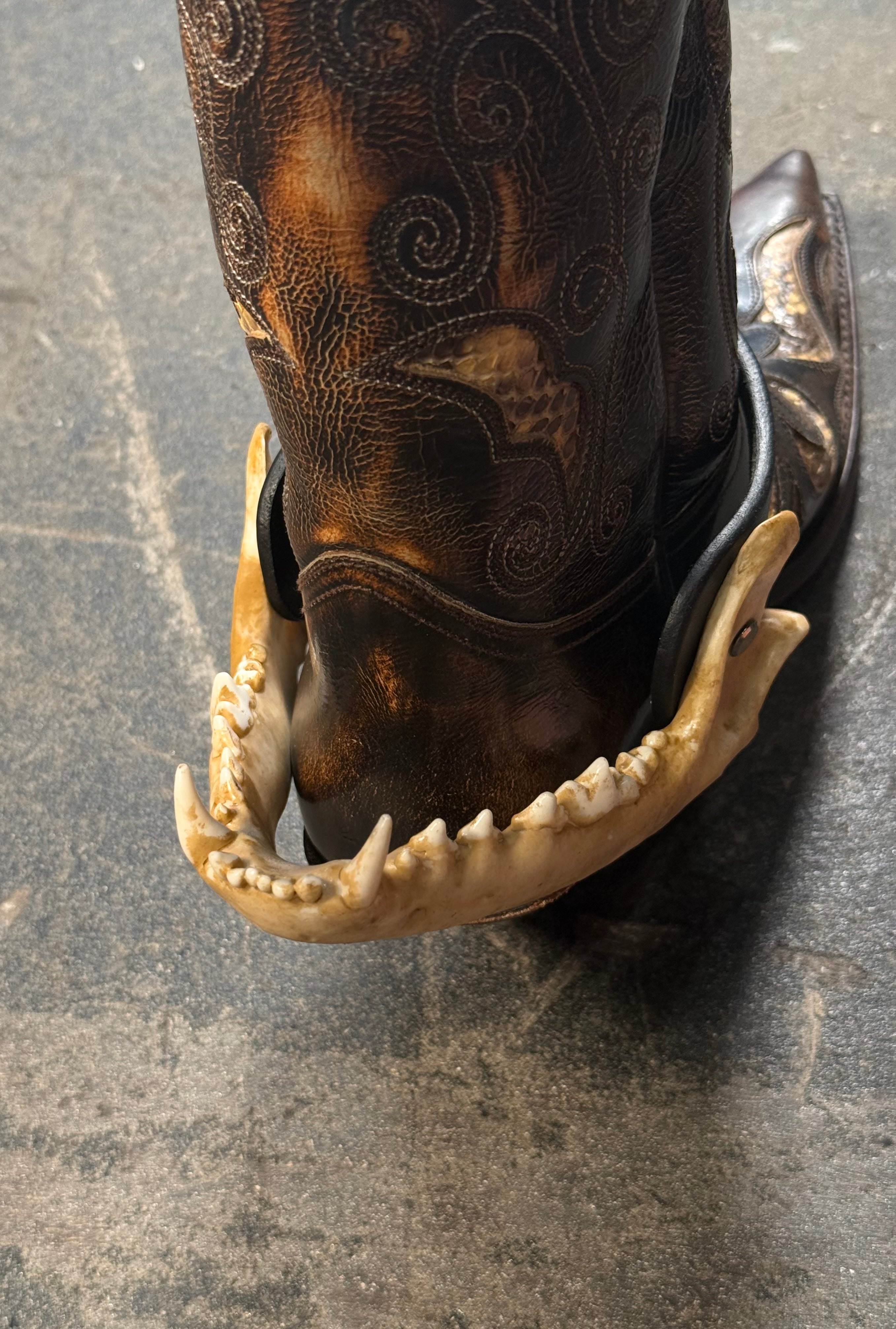 handmade coyote jaw spur straps set | kojoten kiefer stiefelriemen set