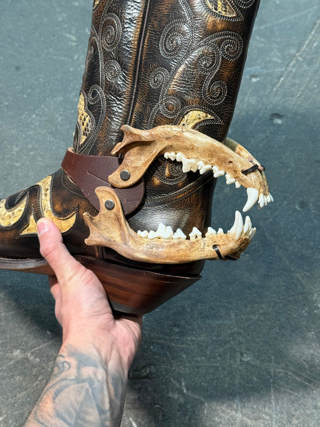 handmade coyote bite jaw spur straps set | kojoten kiefer biss stiefelriemen set