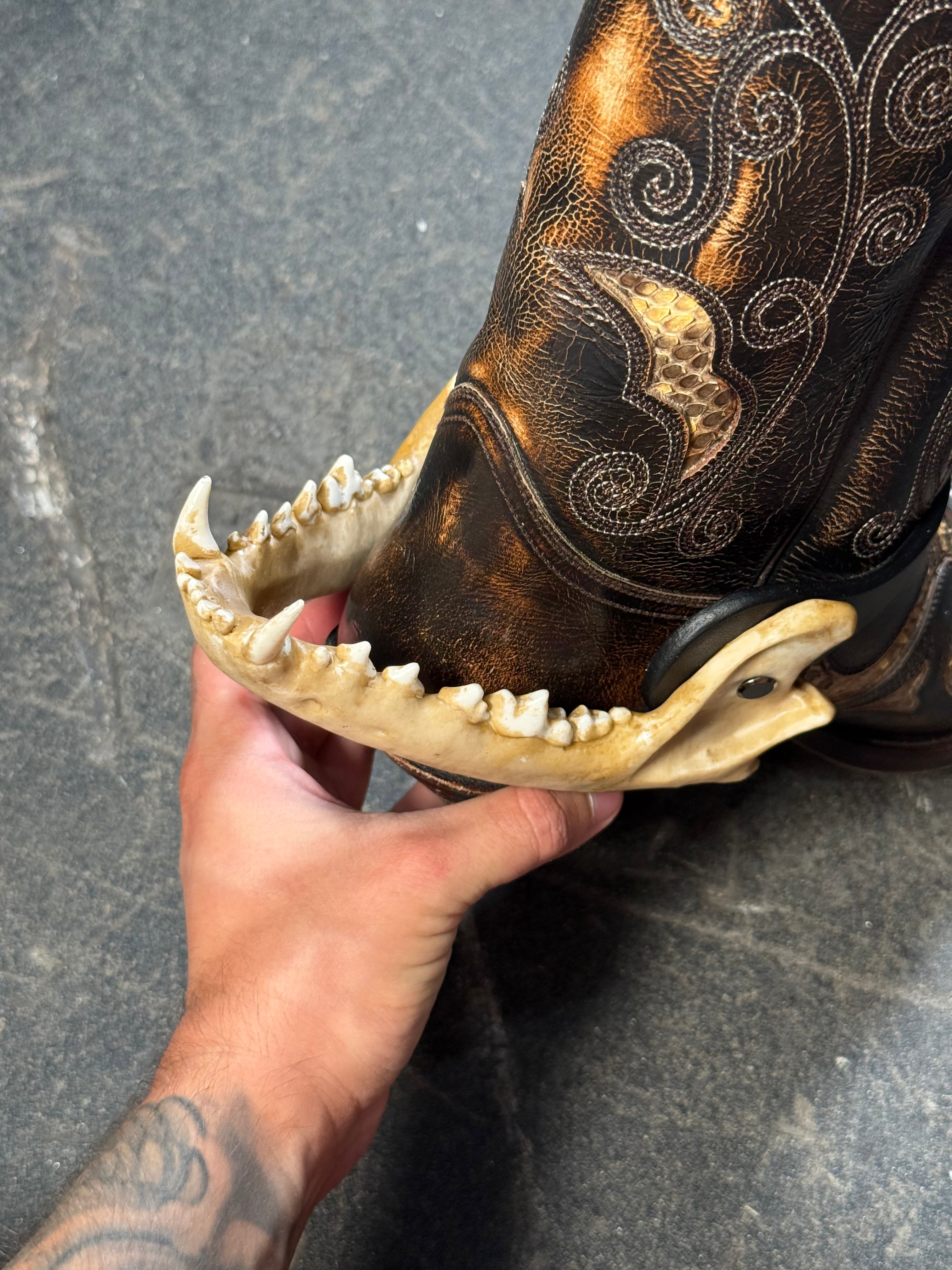 handmade coyote jaw spur straps set | kojoten kiefer stiefelriemen set