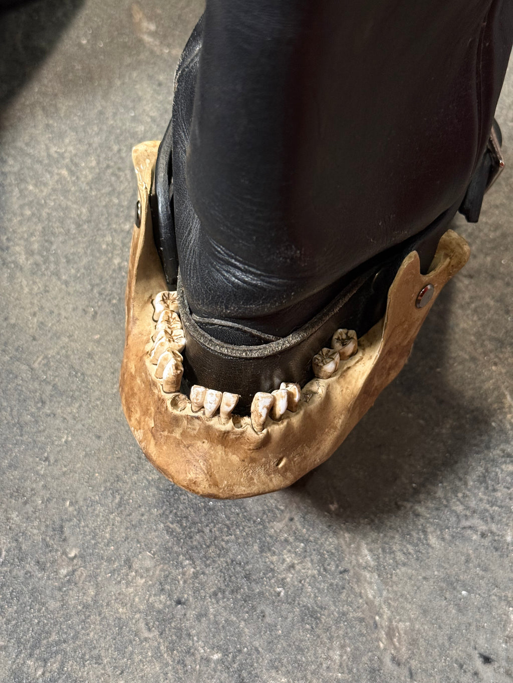 handmade human skull jaw bone spurs