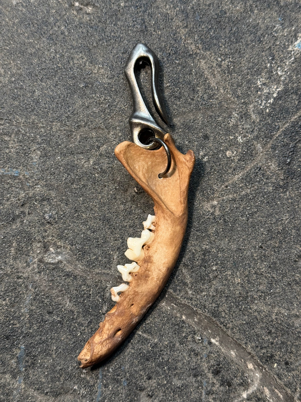 handmade fox jaw pendant | fuchs gebiss anhänger