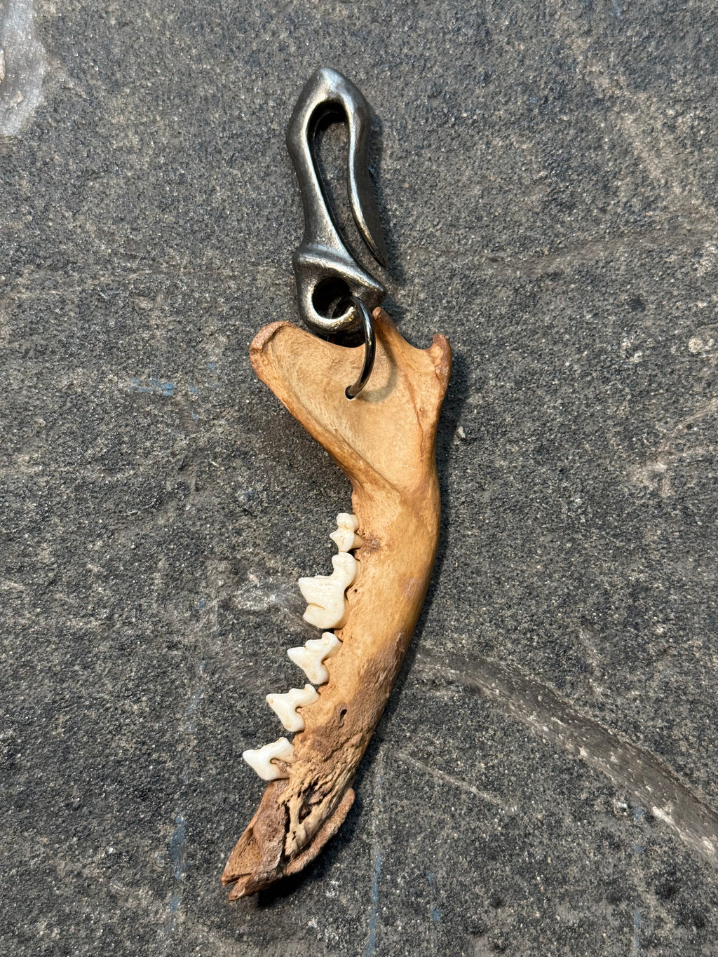 handmade fox jaw pendant | fuchs gebiss anhänger