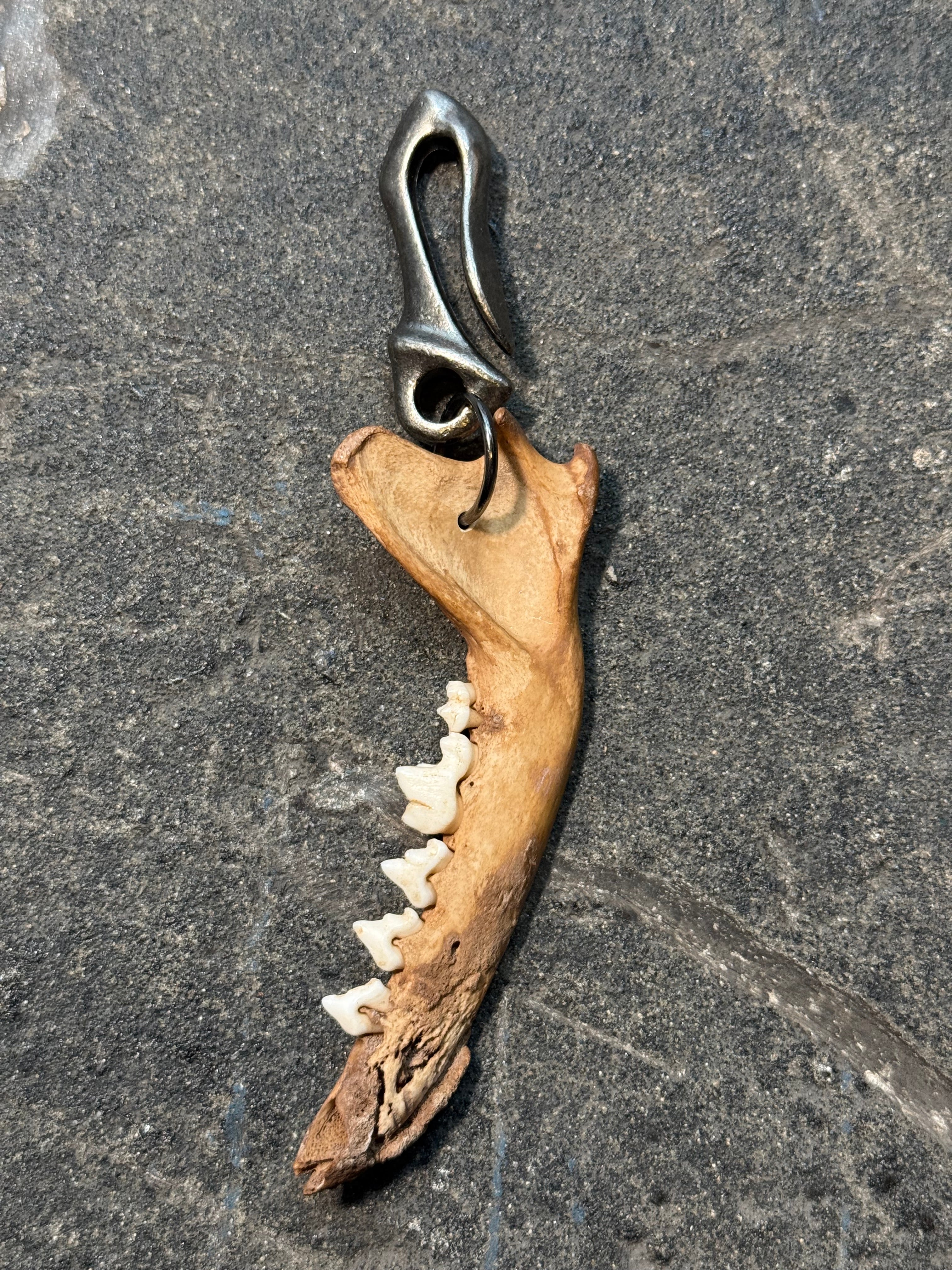 handmade fox jaw pendant | fuchs gebiss anhänger