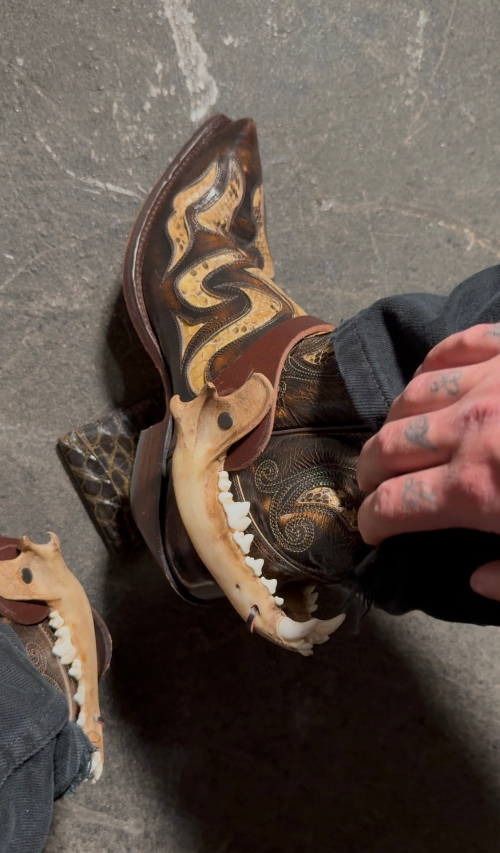 coyote jaw spur straps set resin | free shipping