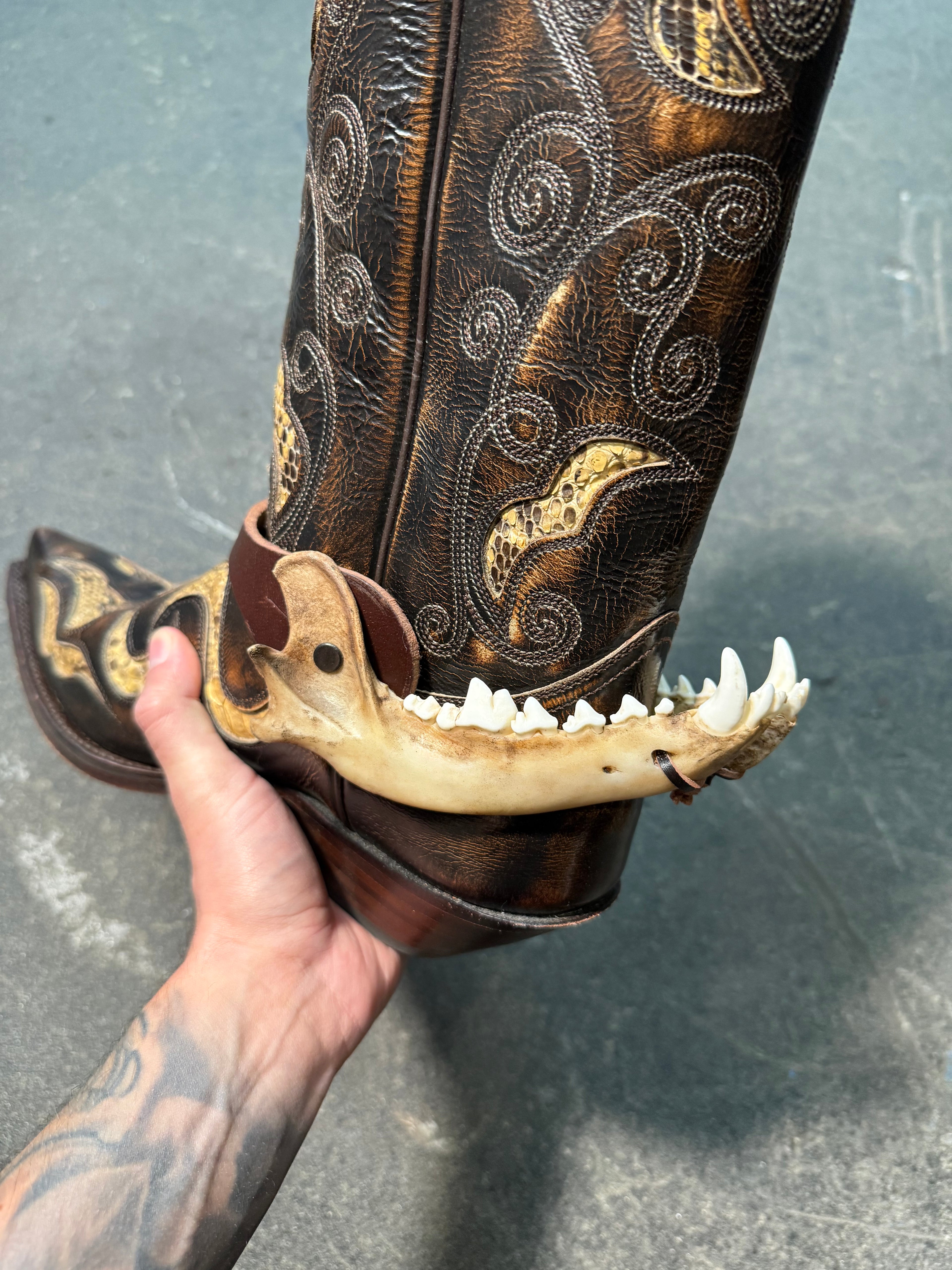 handmade coyote jaw spur straps set | kojoten kiefer stiefelriemen set