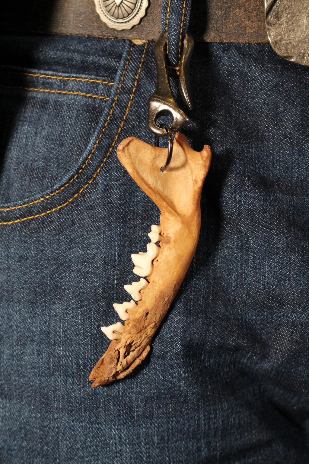handmade fox jaw pendant | fuchs gebiss anhänger