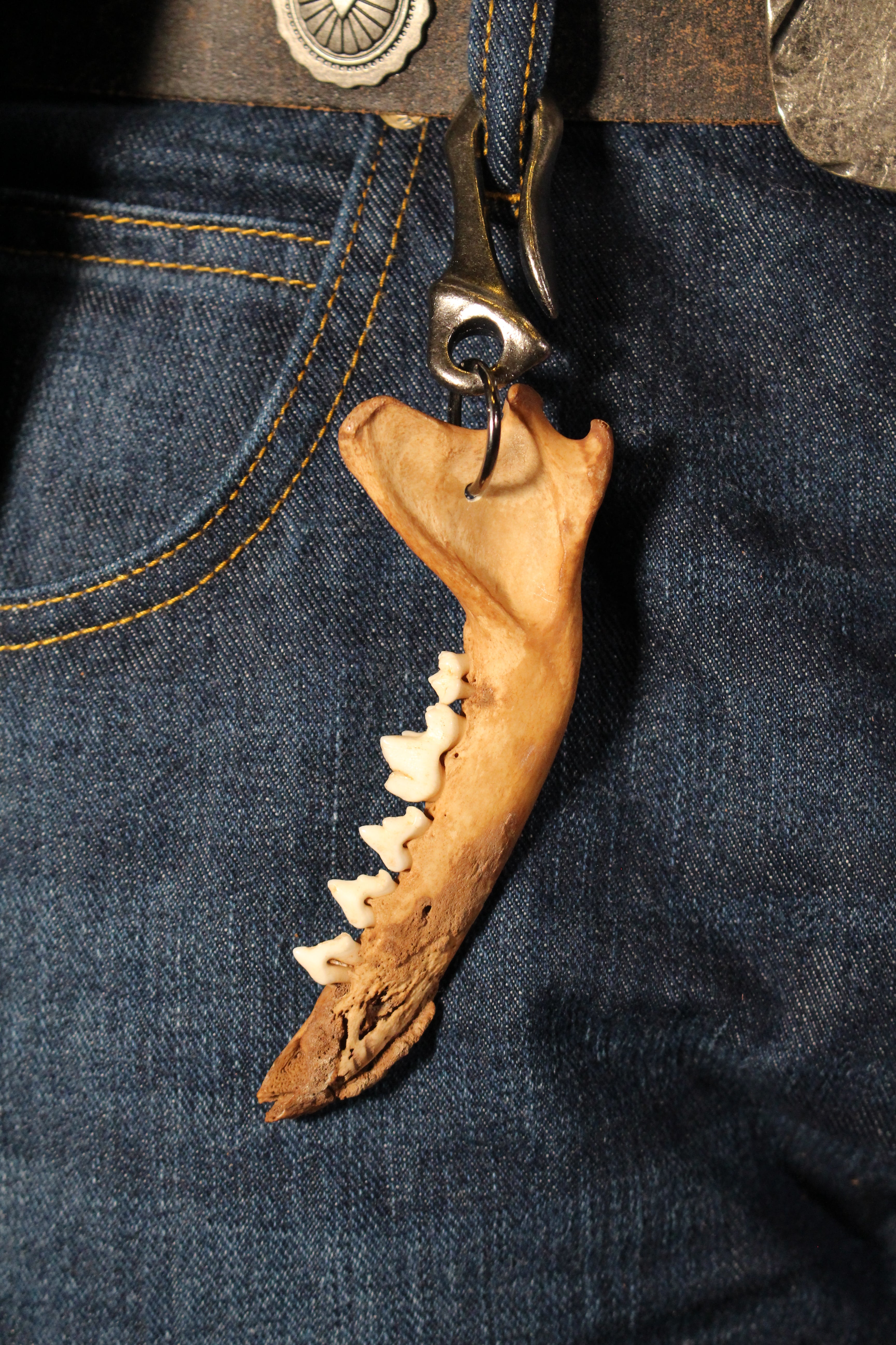 handmade fox jaw pendant | fuchs gebiss anhänger