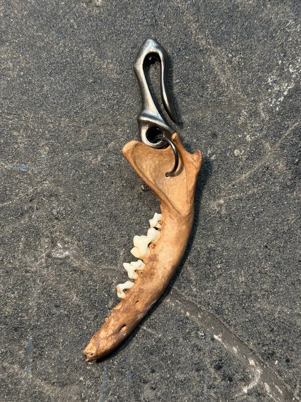 handmade fox jaw pendant | fuchs gebiss anhänger