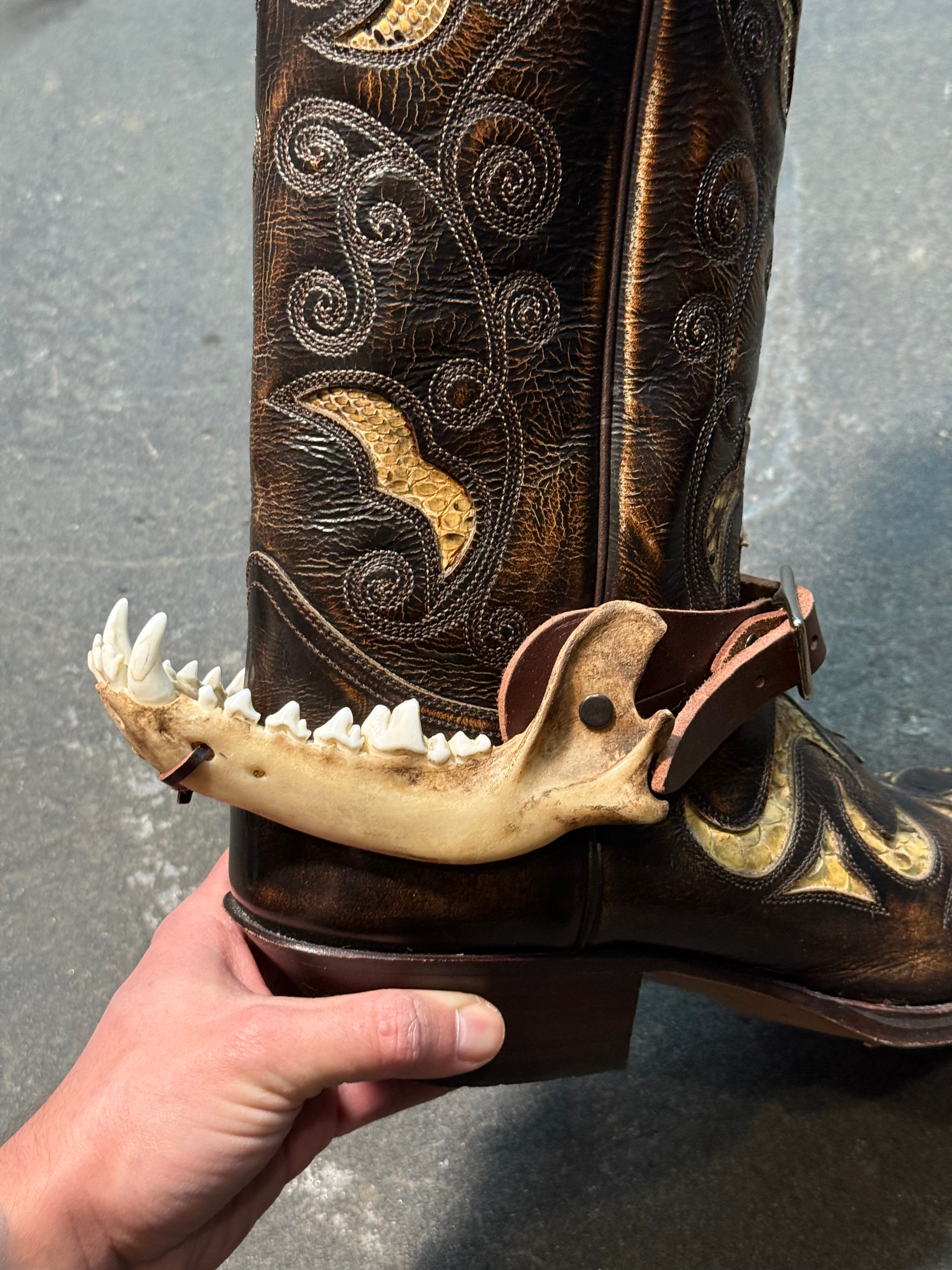 handmade coyote jaw spur straps set | kojoten kiefer stiefelriemen set