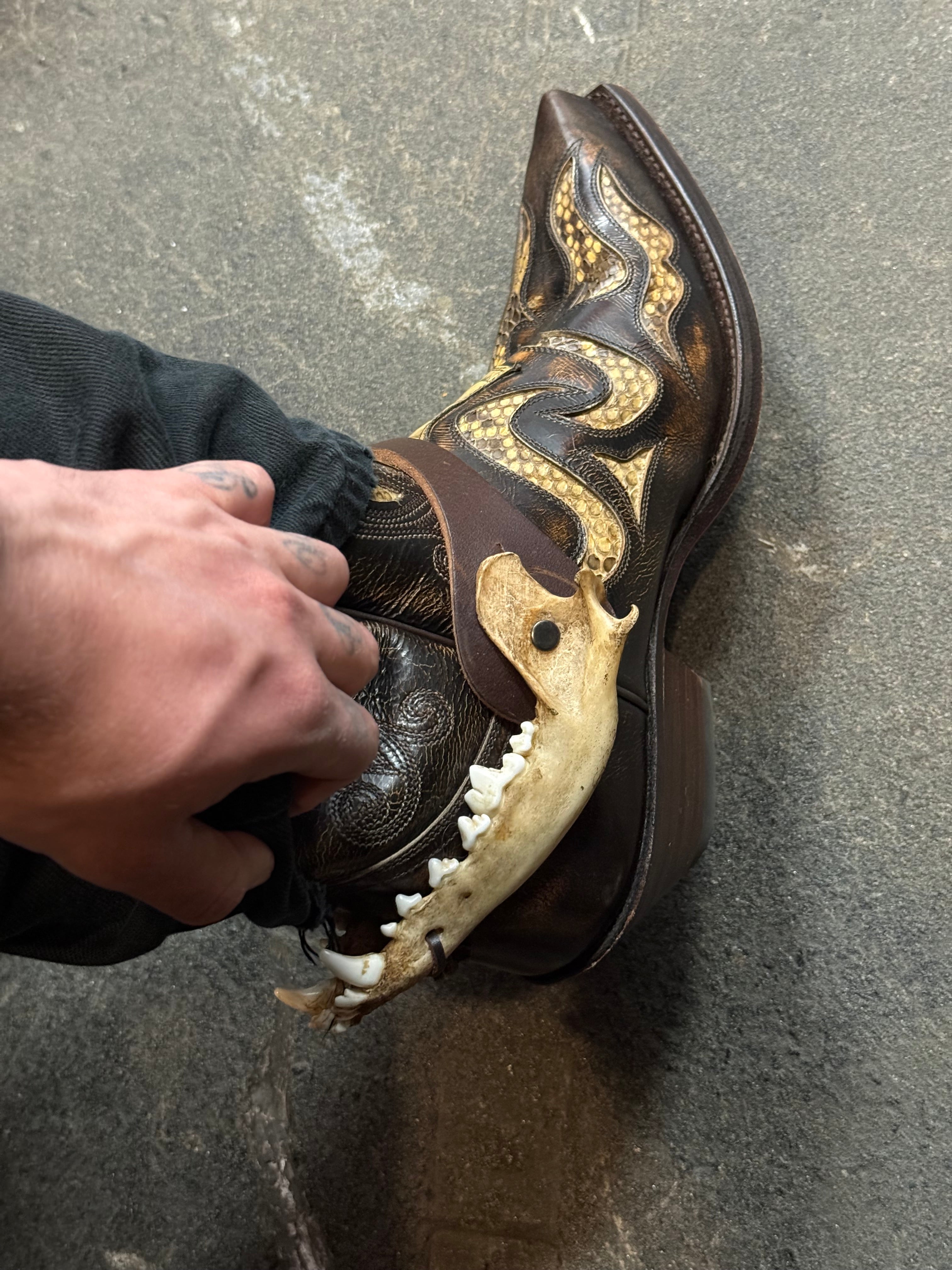 handmade coyote jaw spur straps set | kojoten kiefer stiefelriemen set