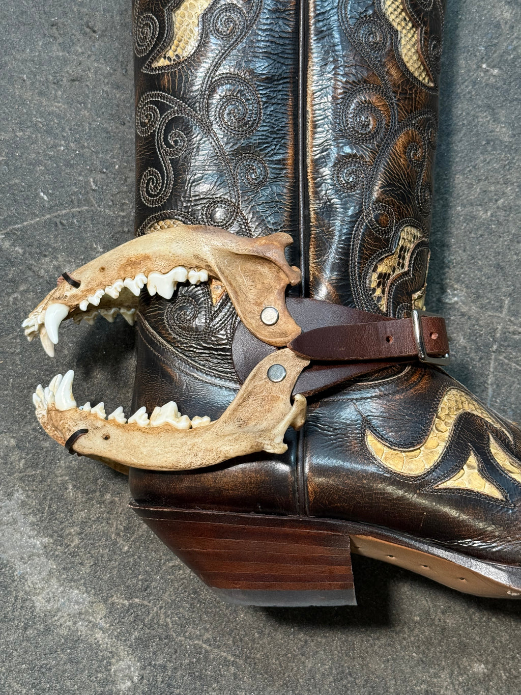 handmade coyote bite jaw spur straps set | kojoten kiefer biss stiefelriemen set