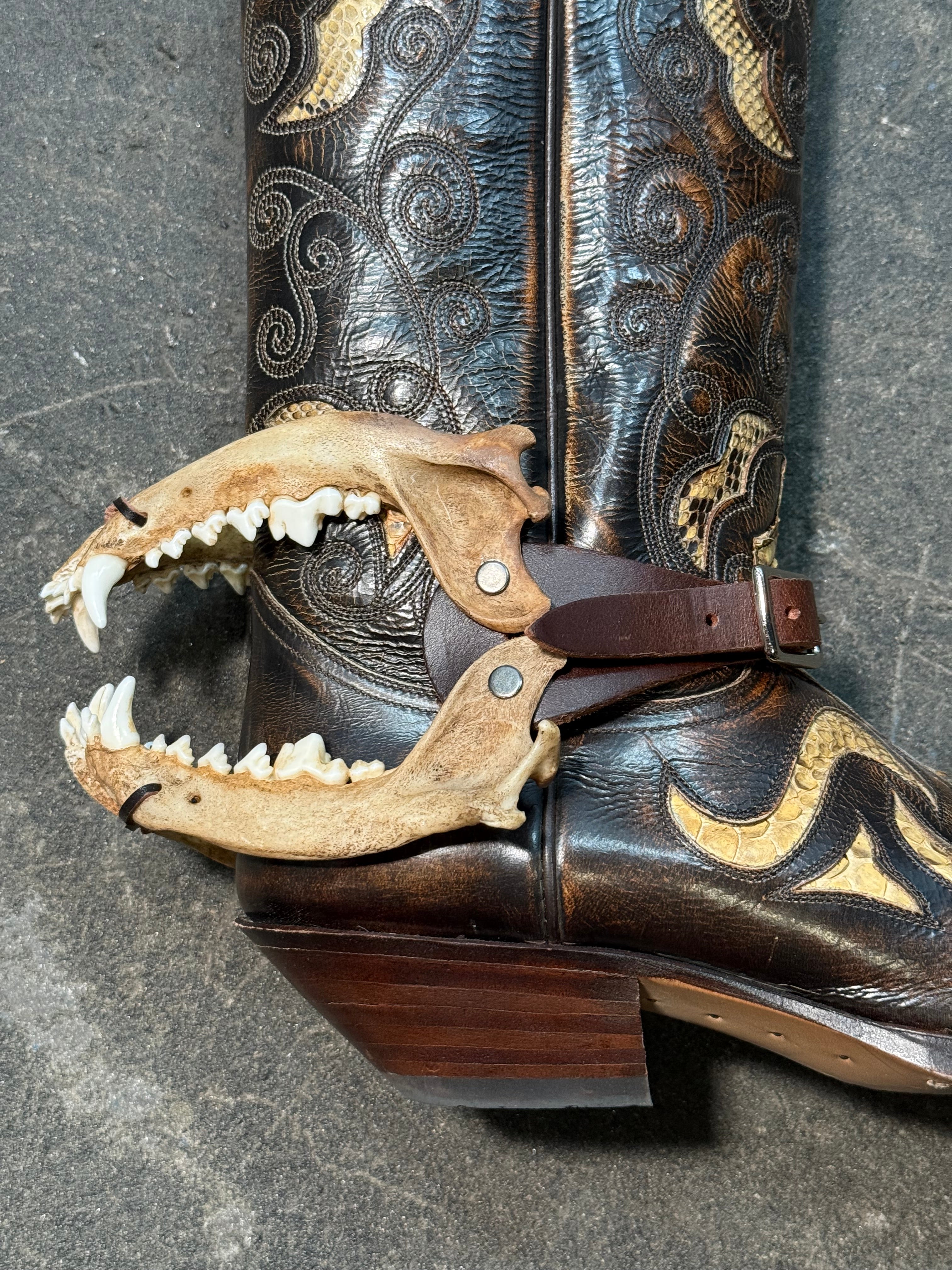 handmade coyote bite jaw spur straps set | kojoten kiefer biss stiefelriemen set