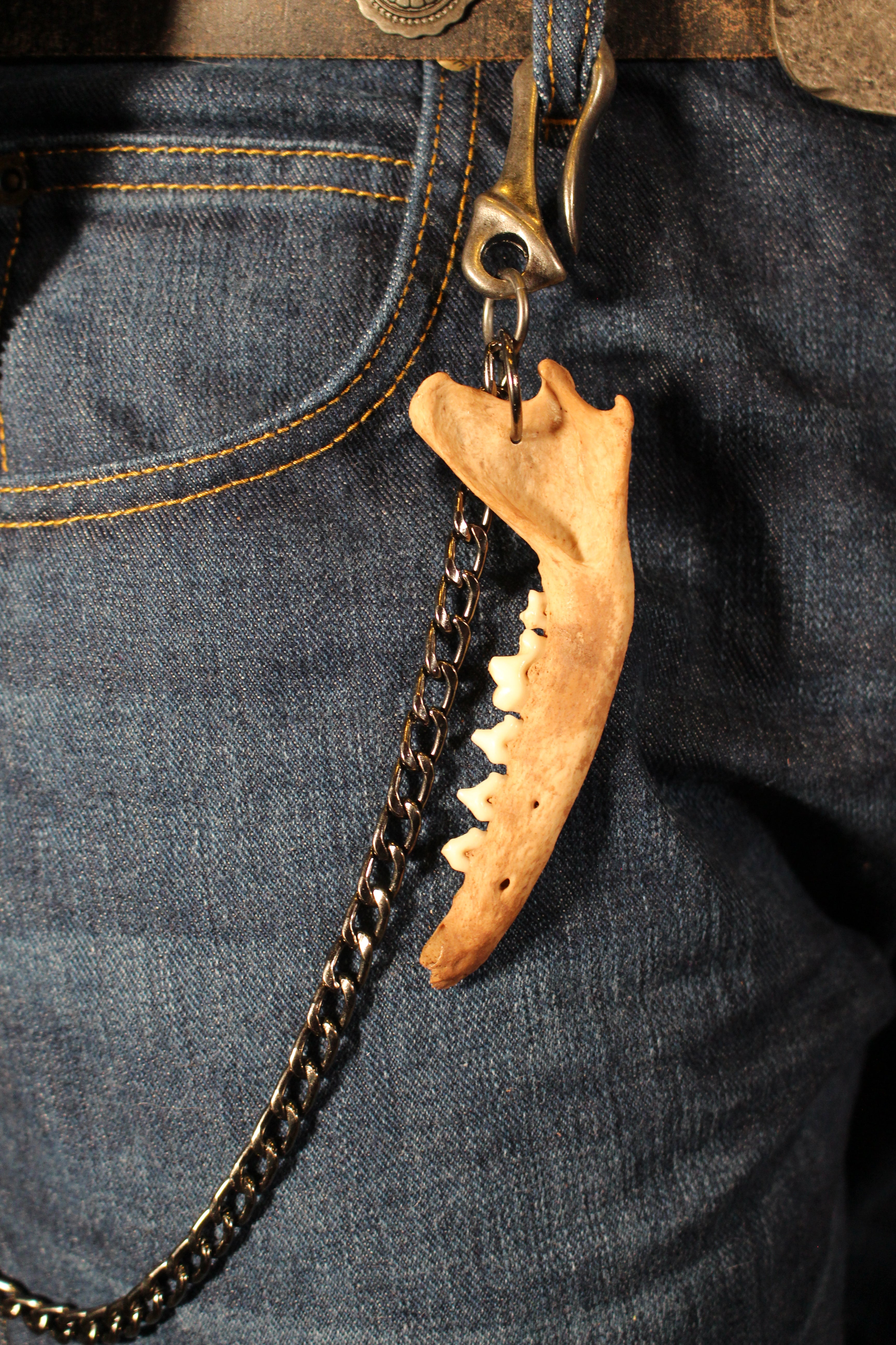 handmade fox jaw wallet chain | fuchs gebiss hosenkette