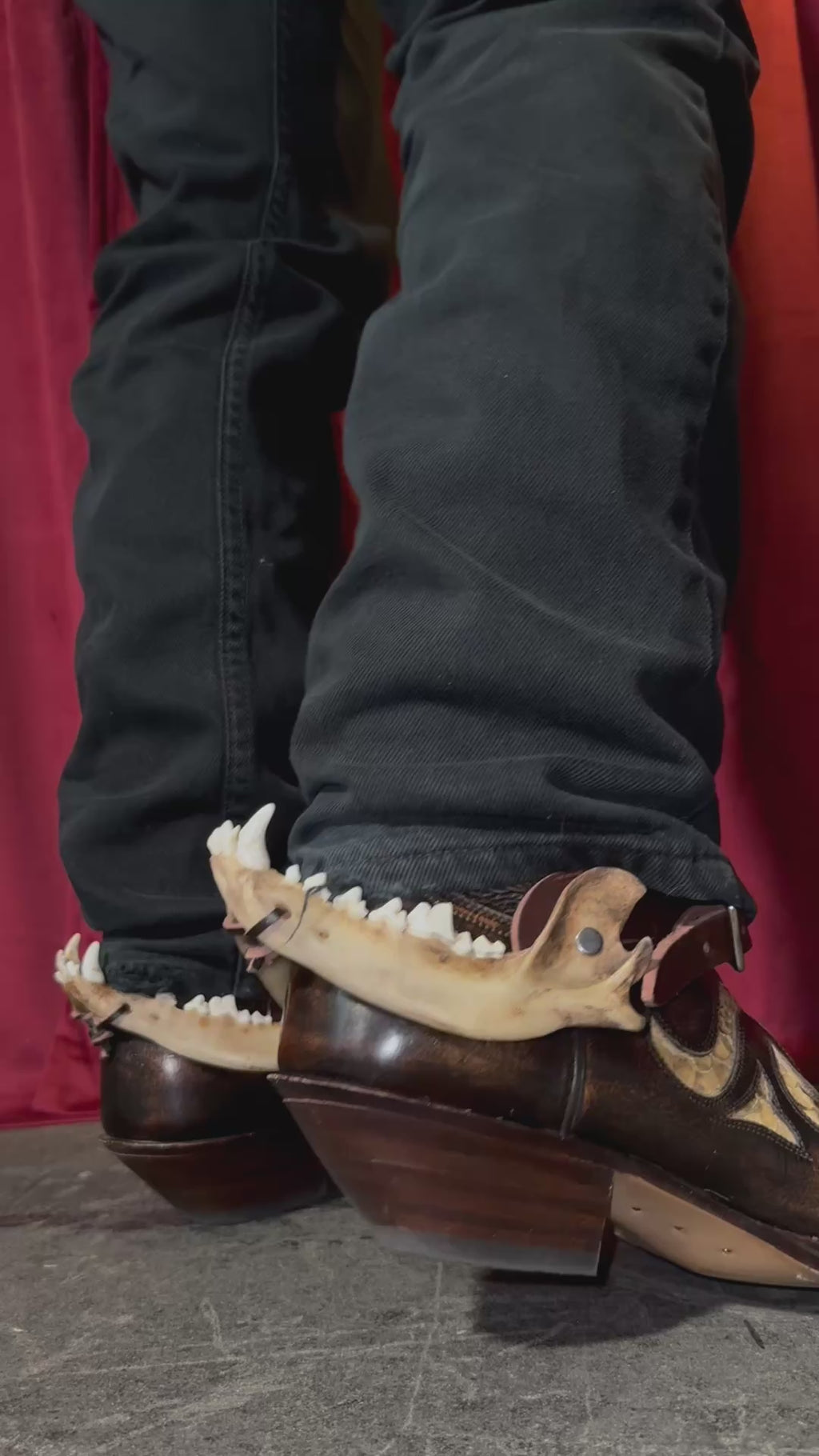 handmade coyote jaw spur straps set | kojoten kiefer stiefelriemen set